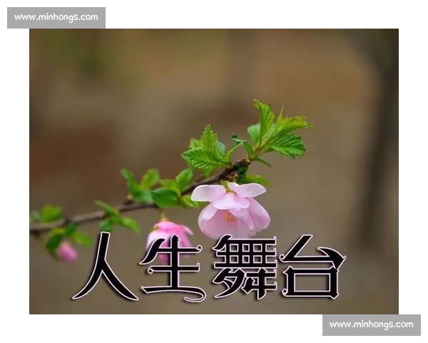 以上演奇迹为中心讲述逆境崛起与命运翻转的震撼故事人生舞台上的光与火